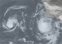 Effet Fujiwara envisagé entre deux ouragans dans l'est du Pacifique cette semaine