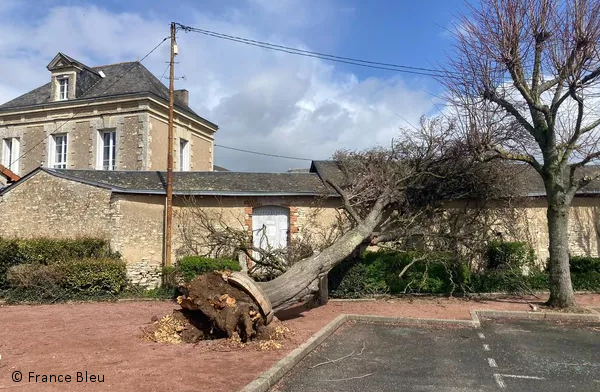 Tornades confirmées le 31 mars dans la Vienne et l’Indre