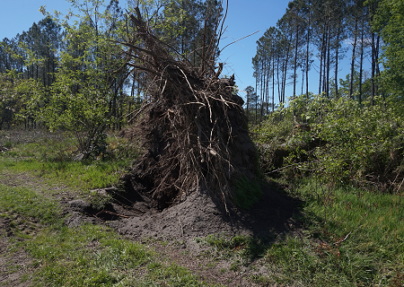 Tornade EF0 à Saint-Paul-lès-Dax (Landes) le 27 avril 2024