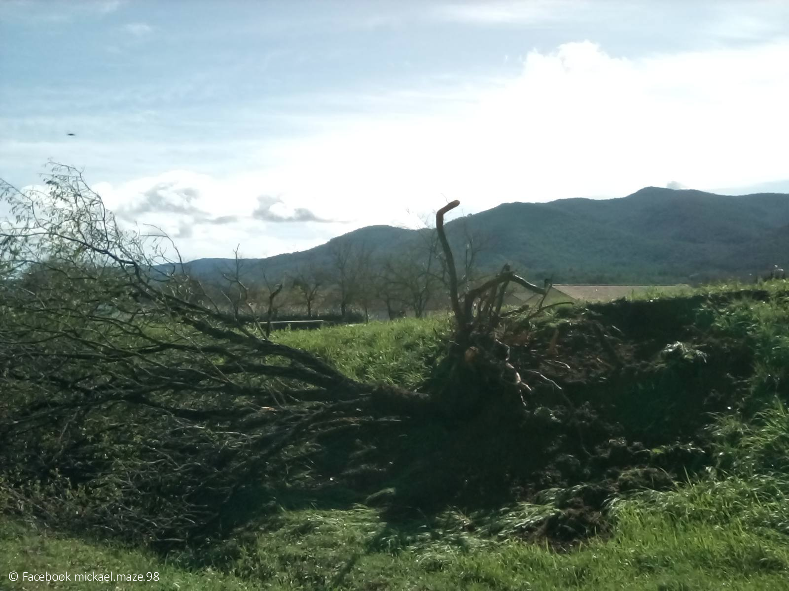 Deux tornades en Mayenne et dans le Var