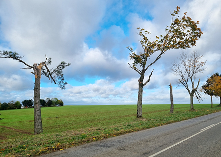 Tornade EF1 à Chambley-Bussières (Meurthe-et-Moselle) le 20 octobre 2025
