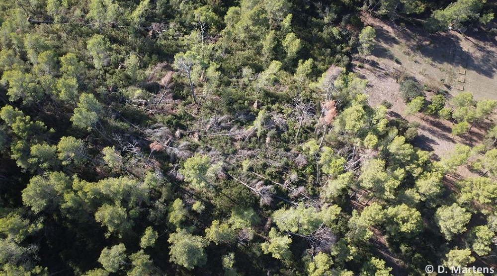 Tornade EF1 à Saint-Etienne-du-Grès (Bouches-du-Rhône) le 7 septembre 2022