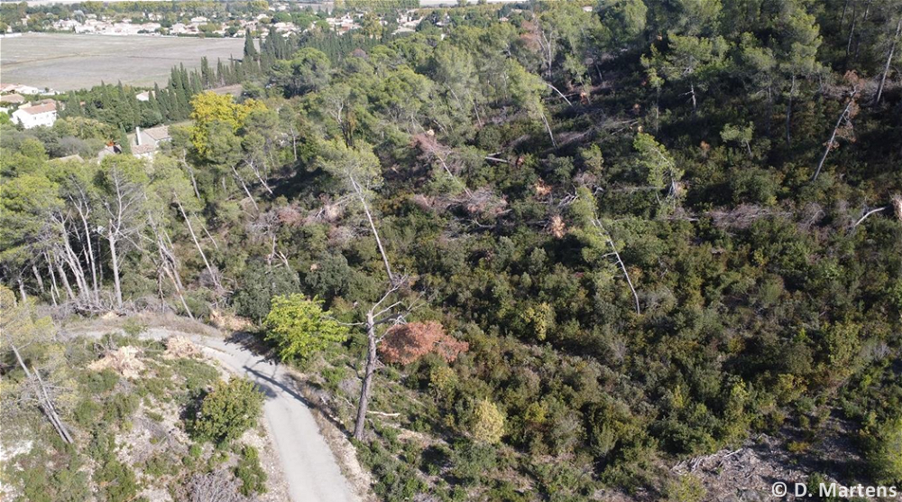 Tornade EF1 à Saint-Etienne-du-Grès (Bouches-du-Rhône) le 7 septembre 2022