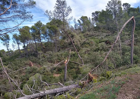 Tornade EF1 à Saint-Etienne-du-Grès (Bouches-du-Rhône) le 7 septembre 2022