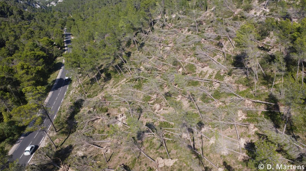 Tornade EF1 à Saint-Rémy-de-Provence (Bouches-du-Rhône) le 7 septembre 2022