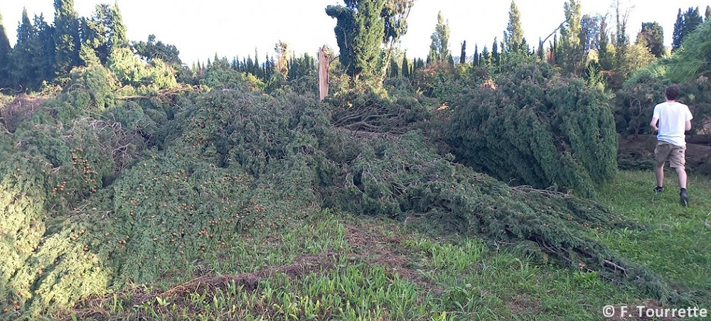 Tornade EF1 à Saint-Rémy-de-Provence (Bouches-du-Rhône) le 7 septembre 2022