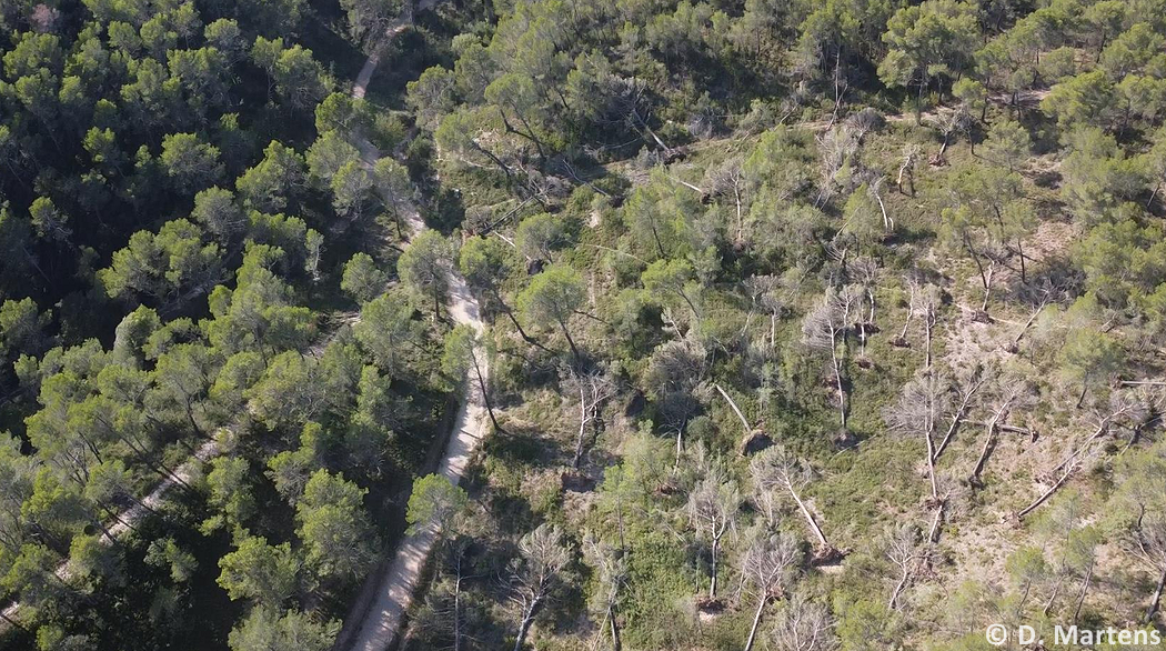 Tornade EF1 à Saint-Rémy-de-Provence (Bouches-du-Rhône) le 7 septembre 2022