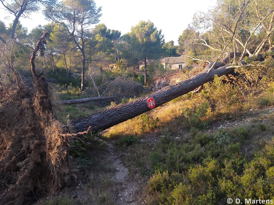 Tornade EF1 à Saint-Rémy-de-Provence (Bouches-du-Rhône) le 7 septembre 2022