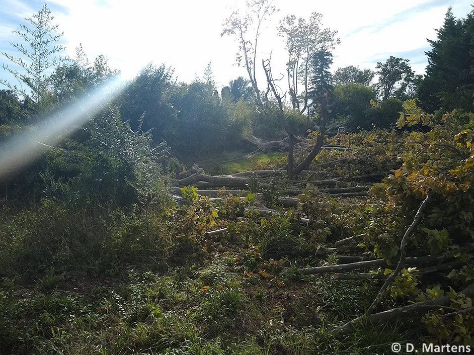 Tornade EF1 à Saint-Rémy-de-Provence (Bouches-du-Rhône) le 7 septembre 2022