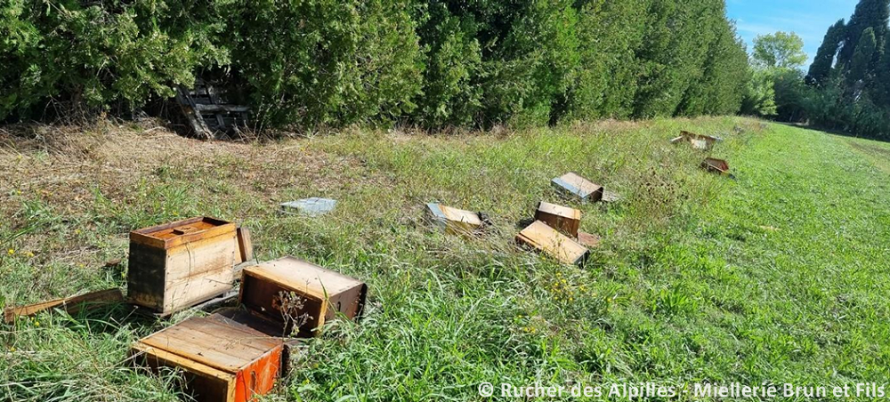 Tornade EF1 à Saint-Rémy-de-Provence (Bouches-du-Rhône) le 7 septembre 2022