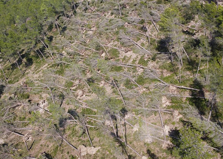 Tornade EF1 à Saint-Rémy-de-Provence (Bouches-du-Rhône) le 7 septembre 2022