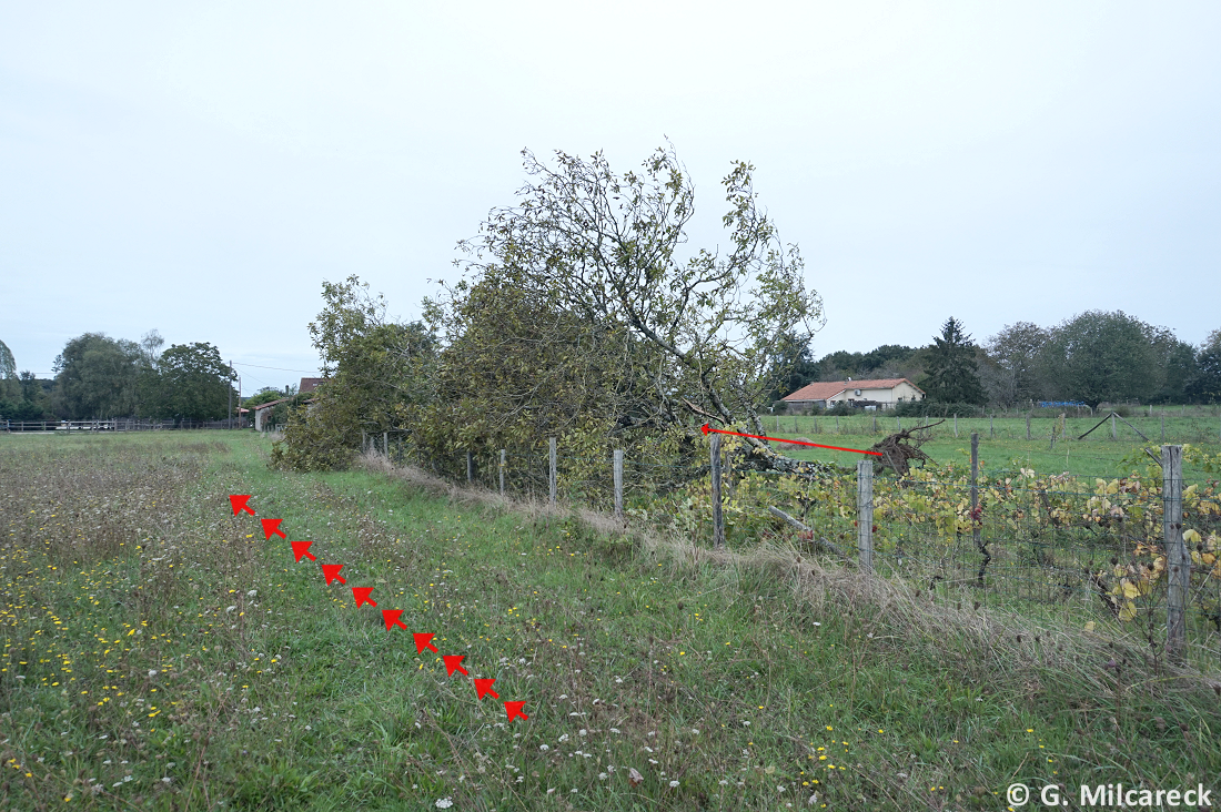 Tornade EF0 à Agris (Charente) le 27 septembre 2024