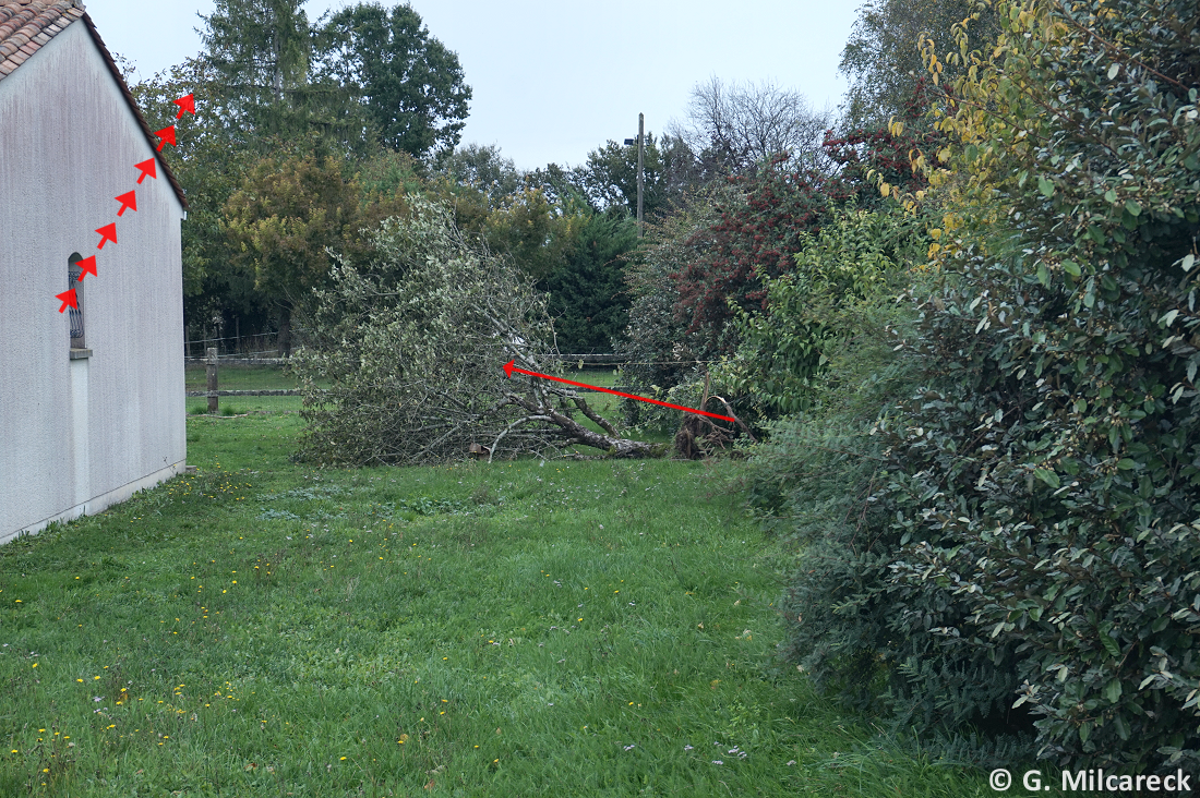 Tornade EF0 à Agris (Charente) le 27 septembre 2024