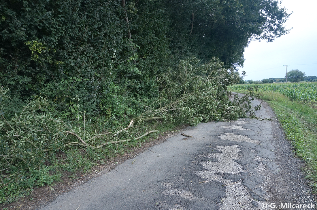 Tornade EF0 à Agris (Charente) le 27 septembre 2024