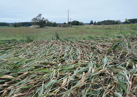 Tornade EF0 à Agris (Charente) le 27 septembre 2024