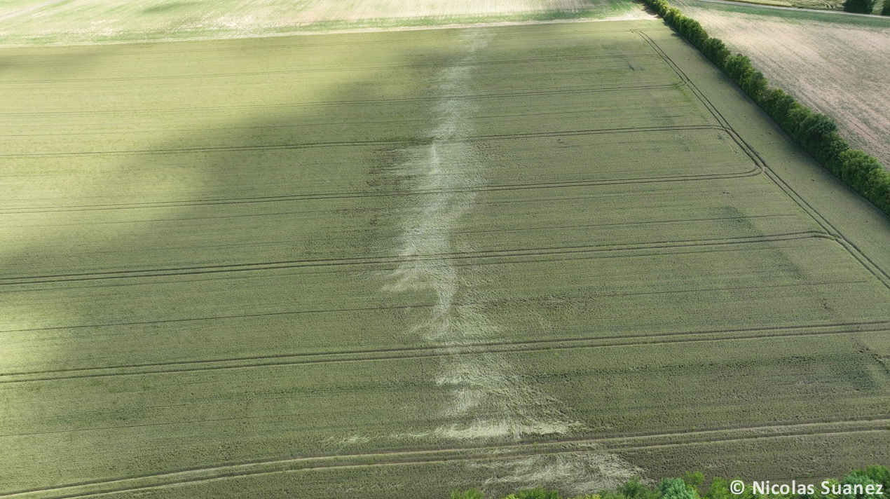 Tornade EF0 à Bresdon (Charente-Maritime) le 31 mai 2024