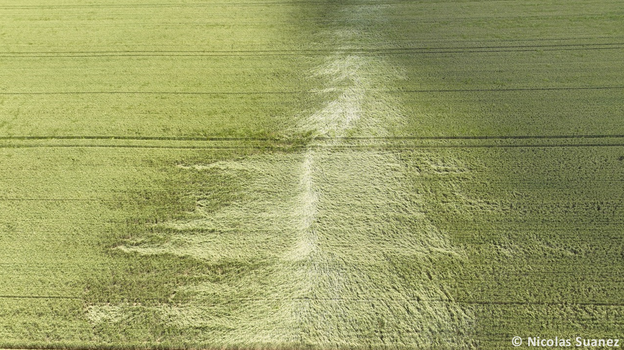 Tornade EF0 à Bresdon (Charente-Maritime) le 31 mai 2024