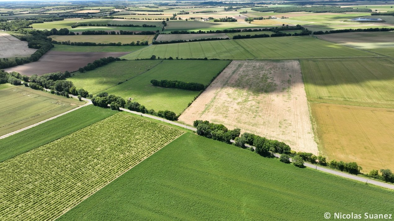 Tornade EF0 à Bresdon (Charente-Maritime) le 31 mai 2024