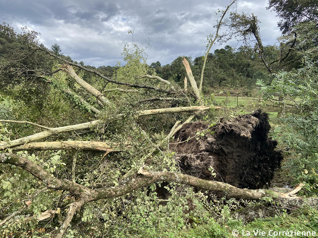 Tornade EF1 à Brive-la-Gaillarde (Corrèze) le 8 octobre 2024