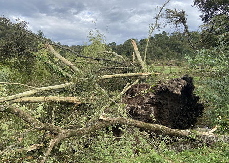 Tornade EF1 à Brive-la-Gaillarde (Corrèze) le 8 octobre 2024