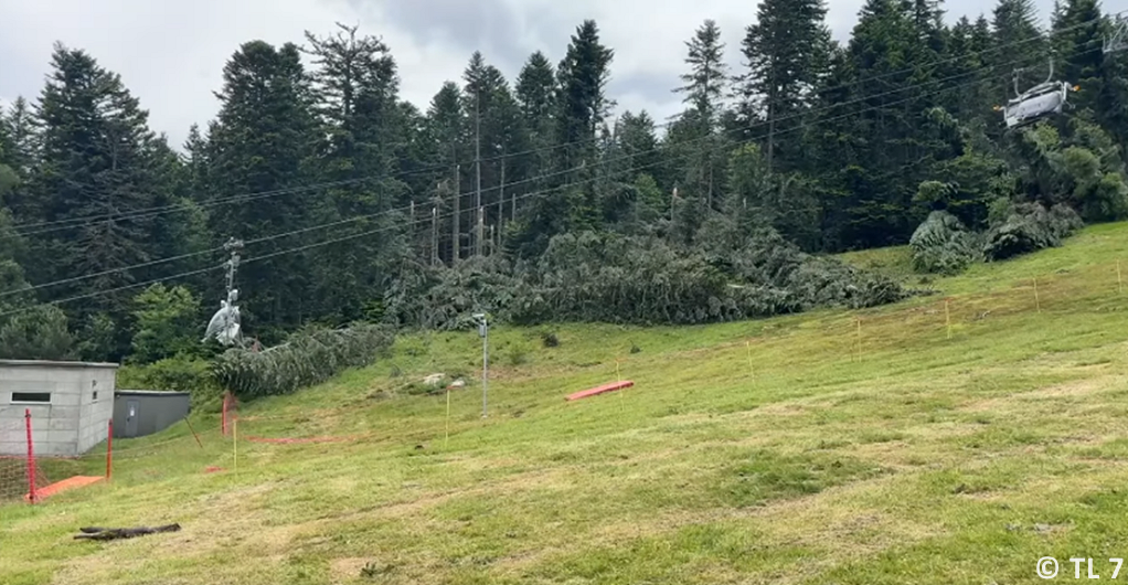 Tornade EF1 à Chalmazel-Jeansagnière (Loire) le 19 juin 2024