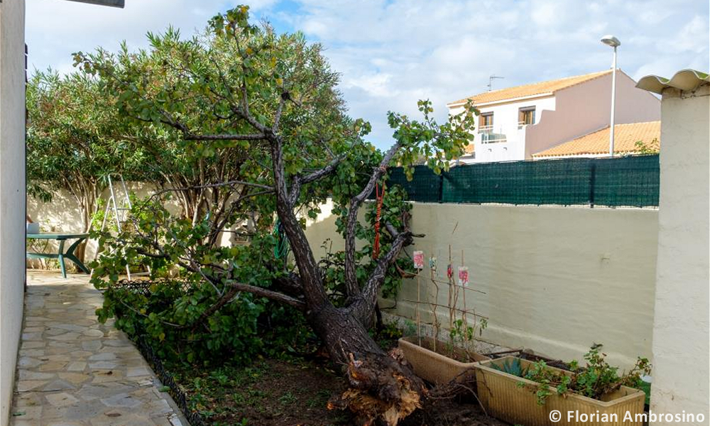 Tornade EF1 à Frontignan (Hérault) le 27 octobre 2024