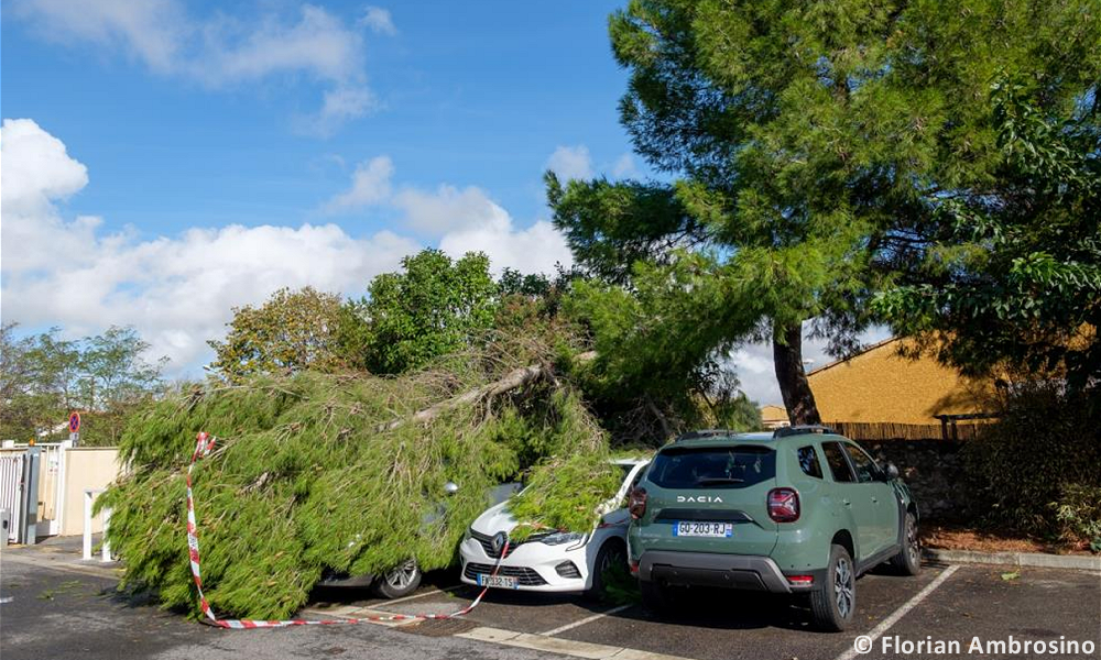 Tornade EF1 à Frontignan (Hérault) le 27 octobre 2024