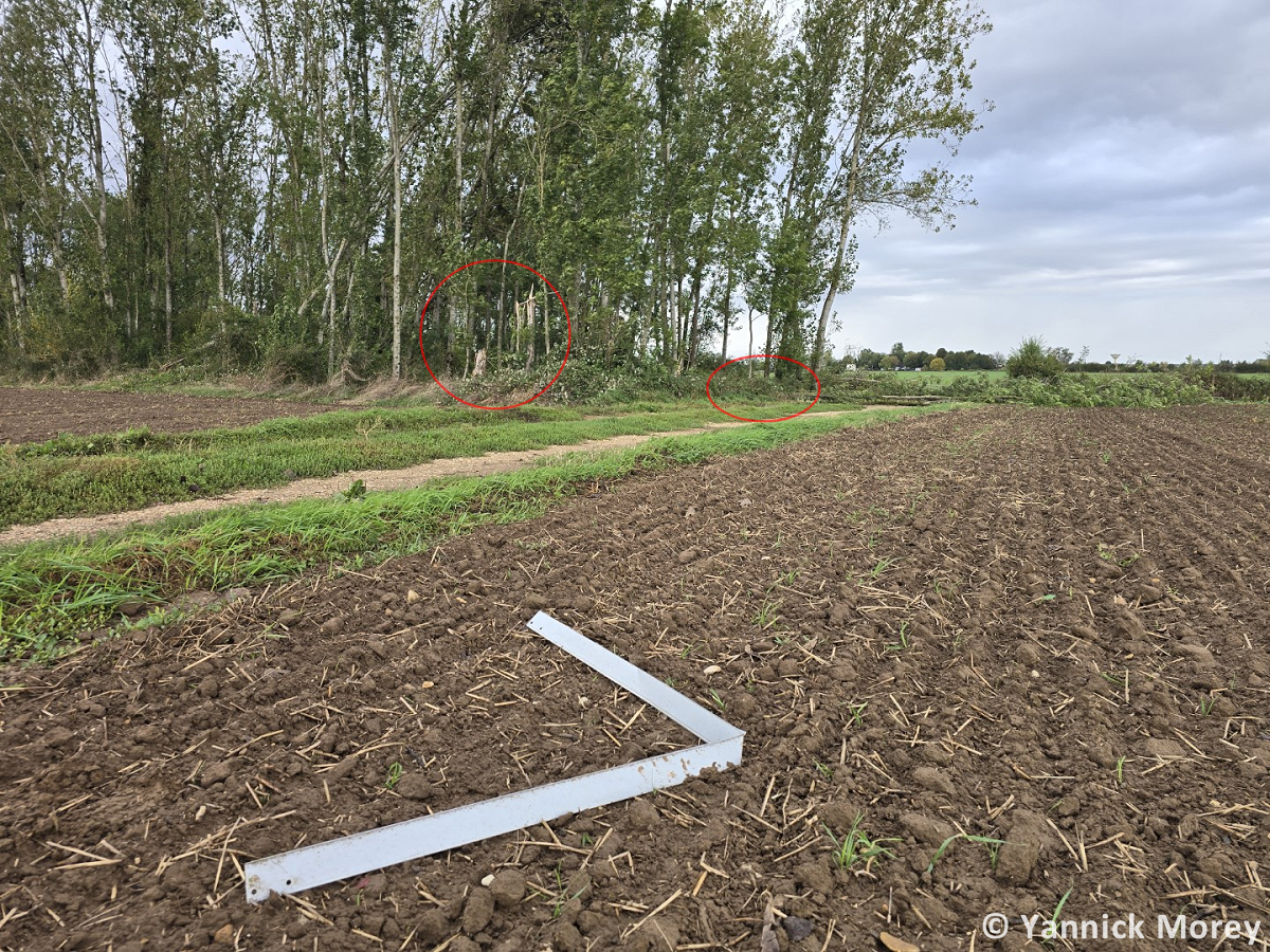 Tornade EF1 à Losne (Côte-d'Or) le 26 septembre 2024