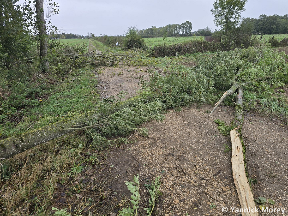 Tornade EF1 à Losne (Côte-d'Or) le 26 septembre 2024