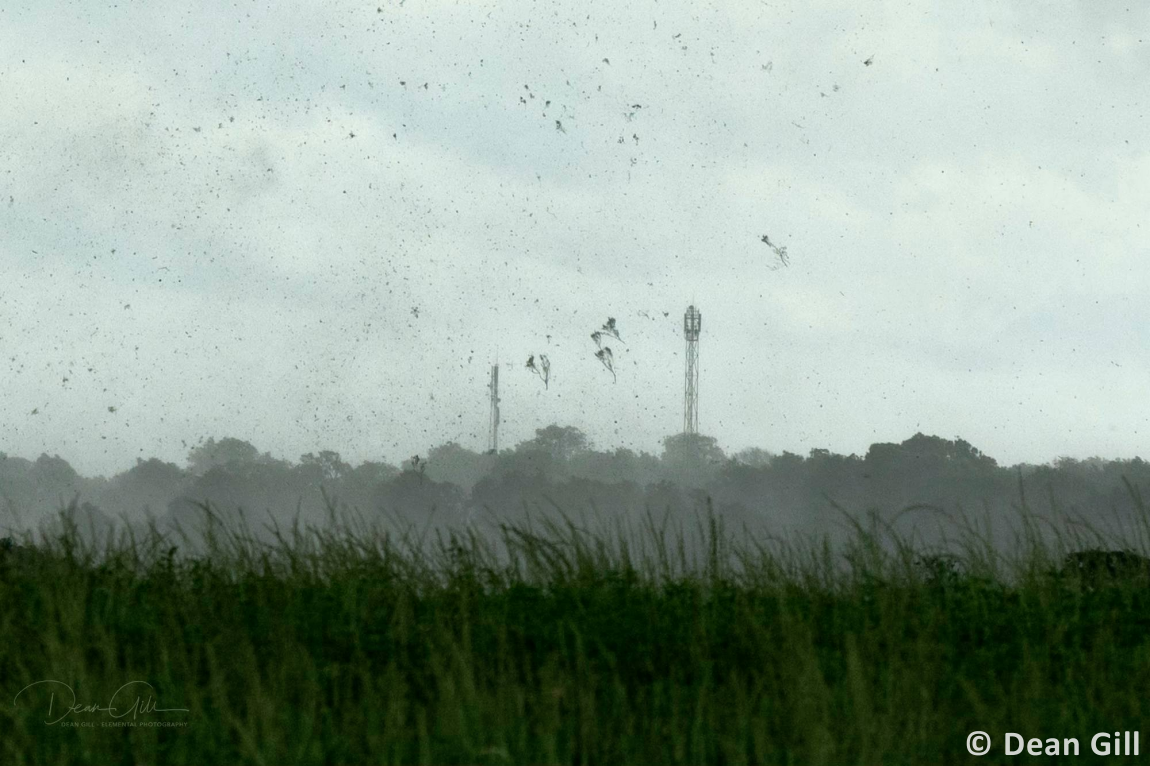 Tornade EF0 à Montigny-Montfort (Côte-d'Or) le 20 juin 2024