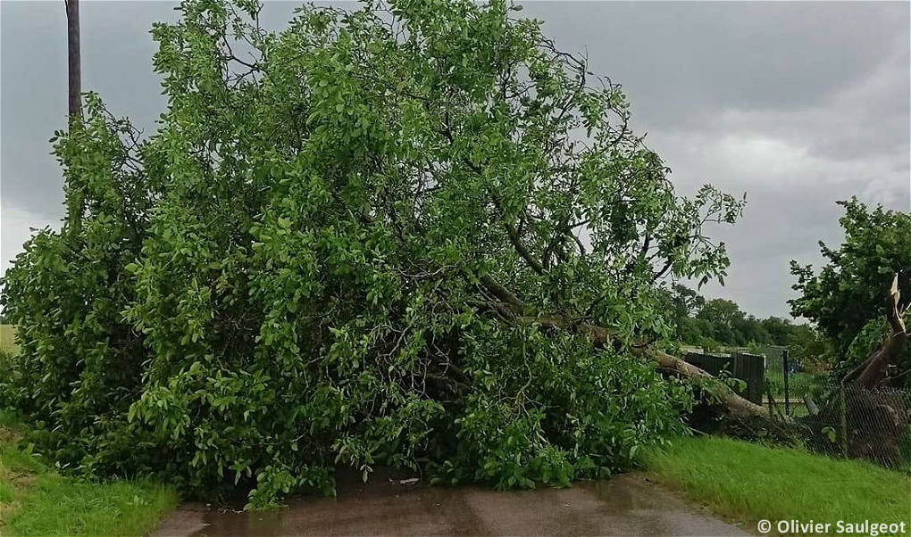 Tornade EF0 à Touillon (Côte-d'Or) le 20 juin 2024