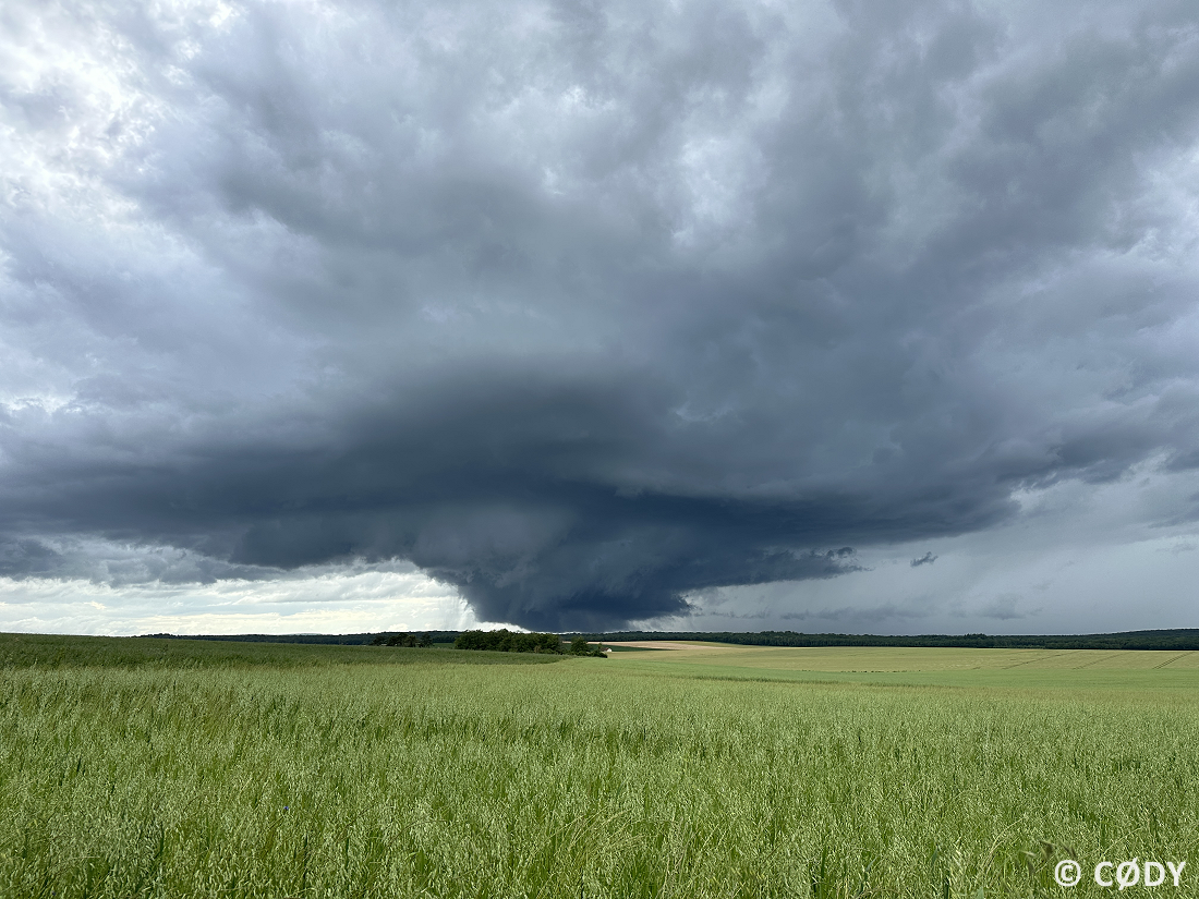 Tornade EF0 à Touillon (Côte-d'Or) le 20 juin 2024