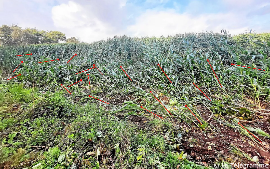 Tornade EF0 à Pont-Aven (Finistère) le 7 octobre 2024