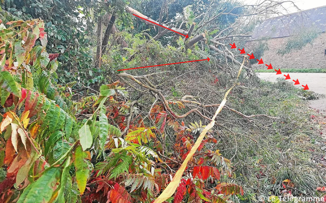 Tornade EF0 à Pont-Aven (Finistère) le 7 octobre 2024