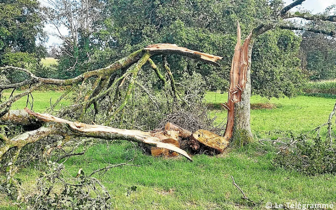 Tornade EF0 à Pont-Aven (Finistère) le 7 octobre 2024