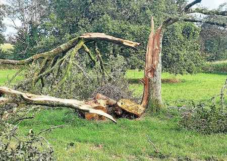 Tornade EF0 à Pont-Aven (Finistère) le 7 octobre 2024