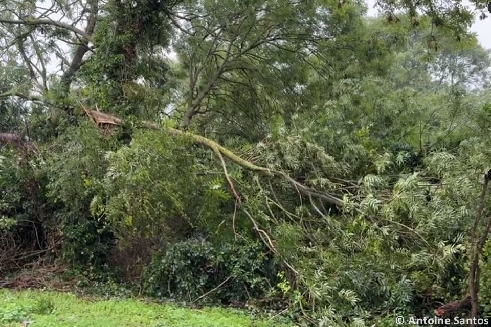 Tornade EF1 à Rots (Calvados) le 8 octobre 2024