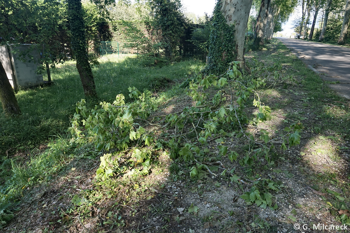 Tornade EF0 à Saint-Paul-lès-Dax (Landes) le 27 avril 2024