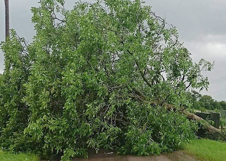 Tornade EF0 à Touillon (Côte-d'Or) le 20 juin 2024