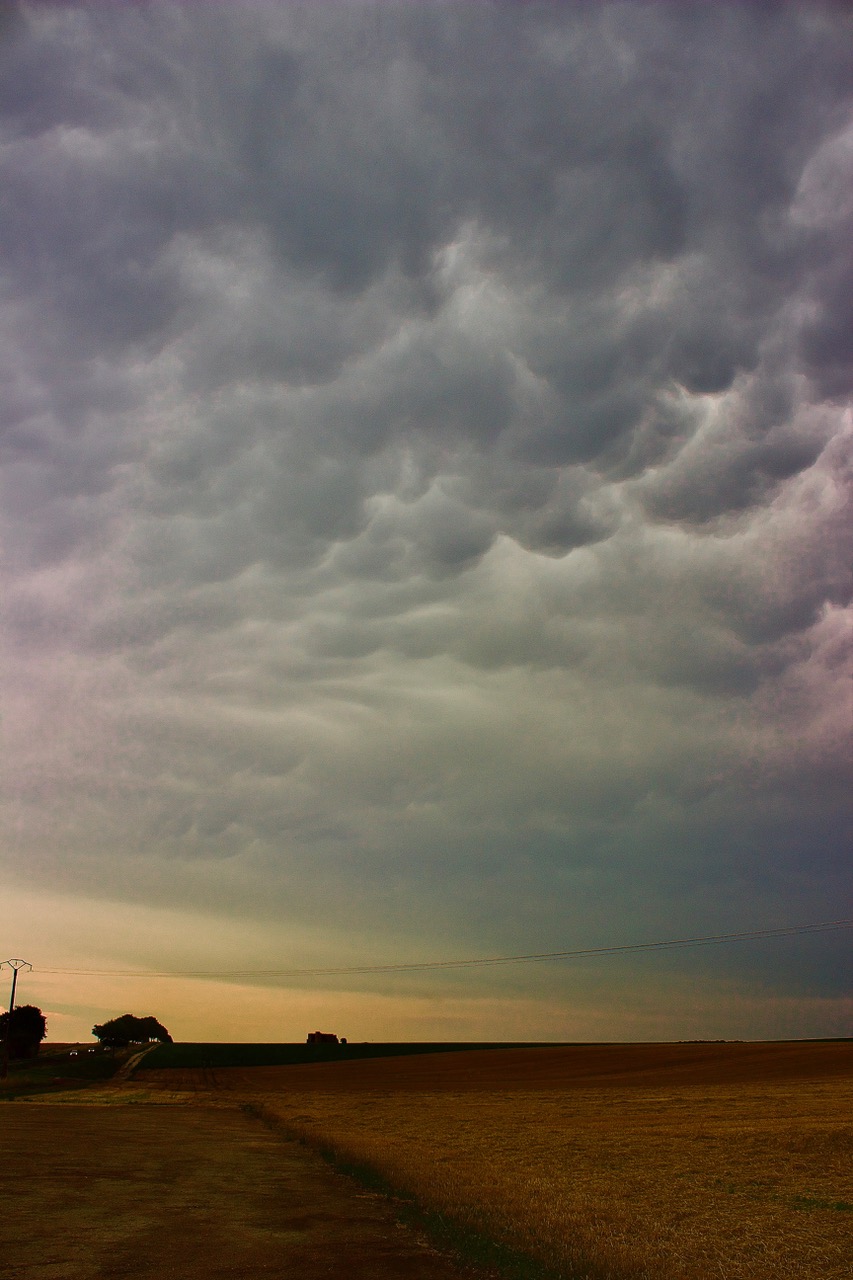 Mammatus photographié à l'ouest de la ville de Châlons en champagne (51) - 01/08/2024 18:00 - Guillaume Barille