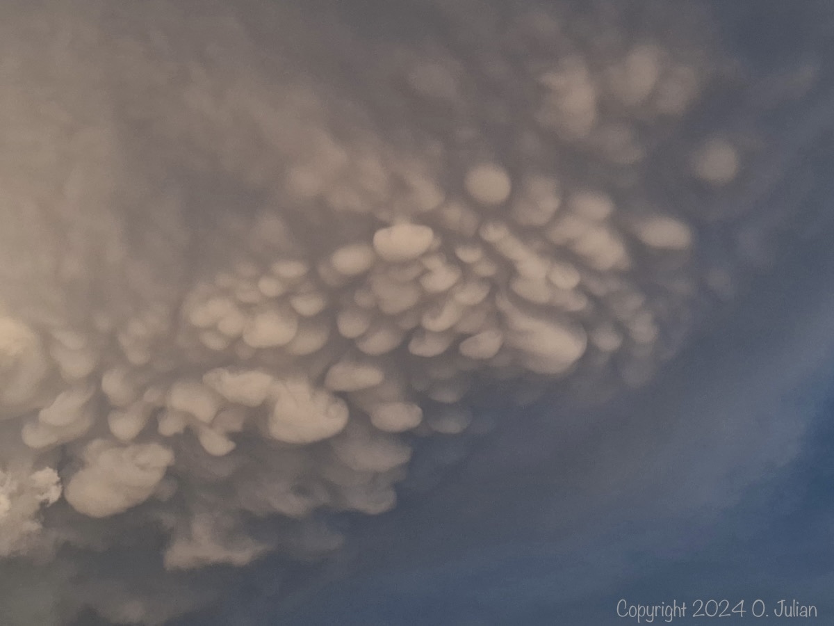 Mammatus sous l’enclume de l’orage de Divonne-les-Bains au soir du 12 août 2024. - 12/08/2024 21:21 - Olivier JULIAN