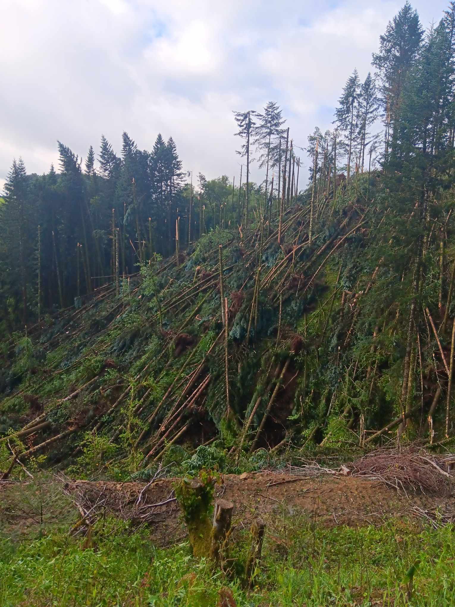 Orage violent - 13/07/2024 00:30 - Pierre Lavieville