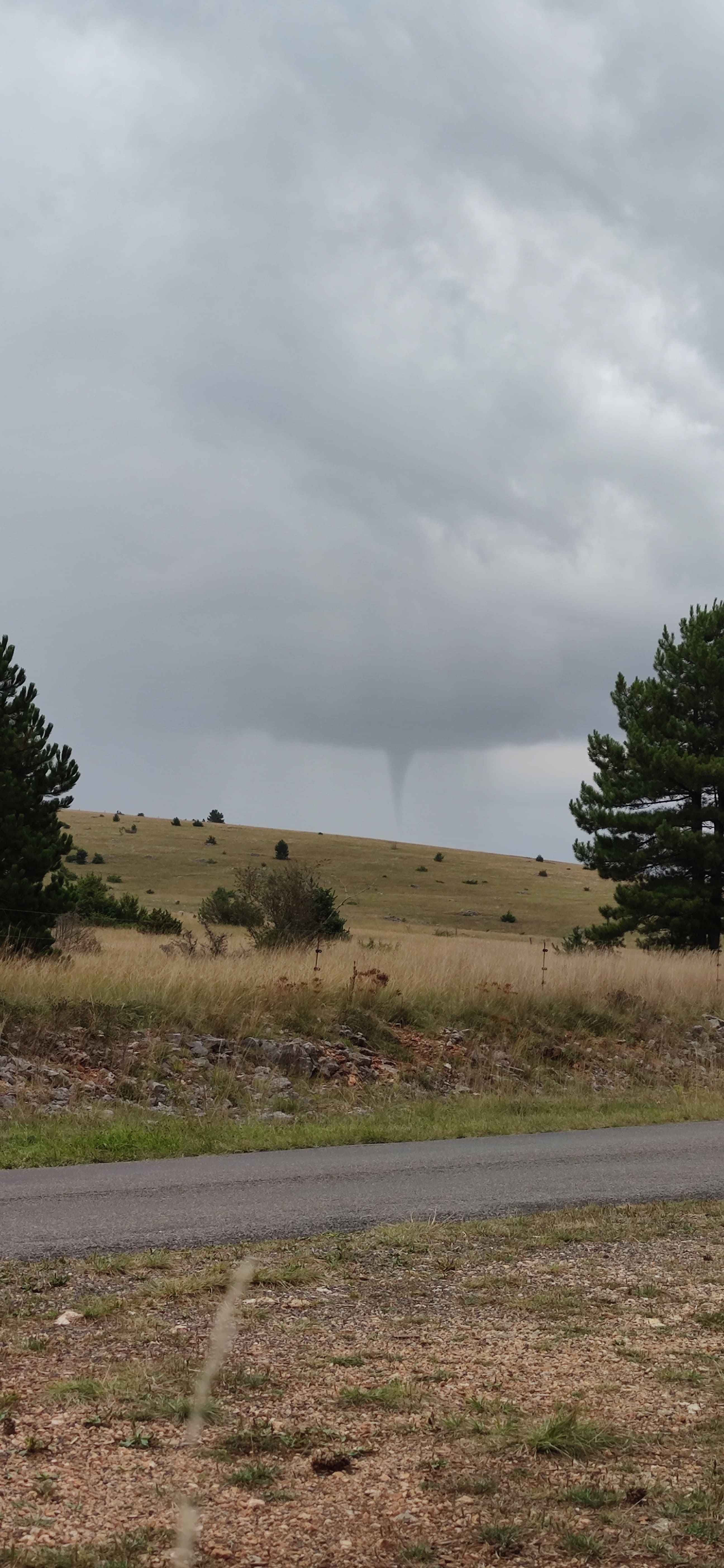 Tuba observé depuis le point GPS 44,2899337, 3,4529217 (sur la route D16 en Lozère), en direction de l'Est, pendant environ une dizaine de minutes. - 16/08/2024 13:35 - Elise Chatrefou