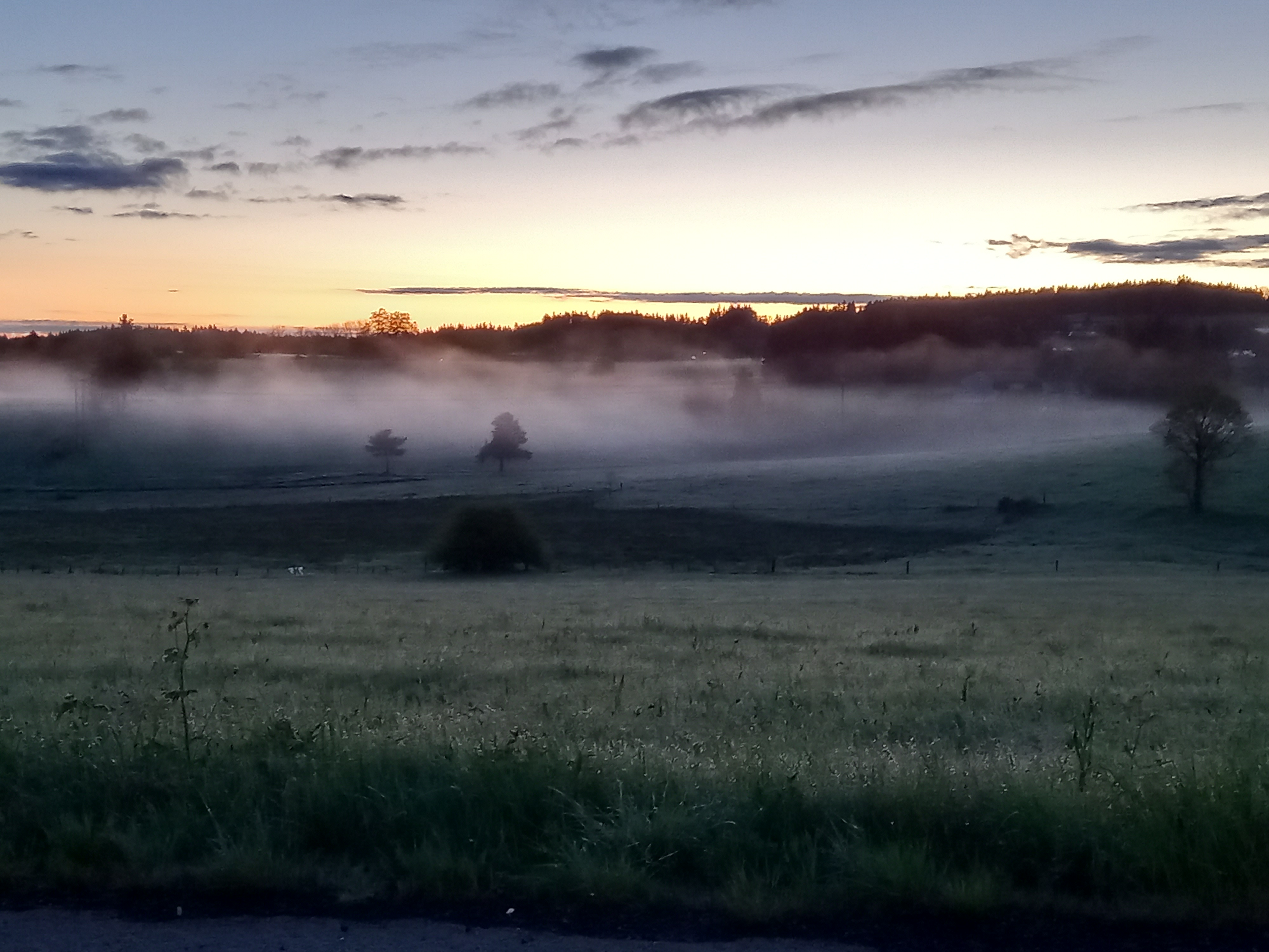 Tn de 1.4°C relevé ce matin et même -0.2°C sous ma serre a 1 mètre du sol ! Mais rien n'a gelé j'ai eu chaud !!!

Puis beau temps le matin suivi d'un temps d'averses orageuses l'après-midi apportant de faible averse de pluie et mini grêlons... TX de 14.7°C avec 4.4mm pour cette journée


Magnifique paysage ce matin au levé du jour (photos)

Timelapse de l'après-midi : https://youtu.be/1pUOXqbakGI - 17/05/2024 05:42 - Cyril Treveys