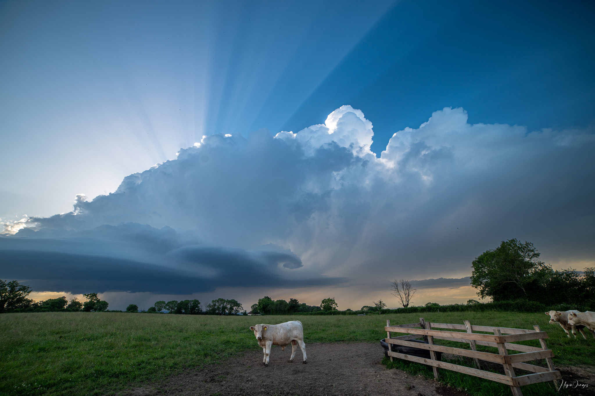 Jeune dans la Chasse à l'orage depuis Sainte-Foy (Saône-et-Loire) avec Axel Guibourg qui me fait découvrir les supercellules périple de 3 jours et 3500km parcourus - 19/06/2024 19:40 - Laurent Richard