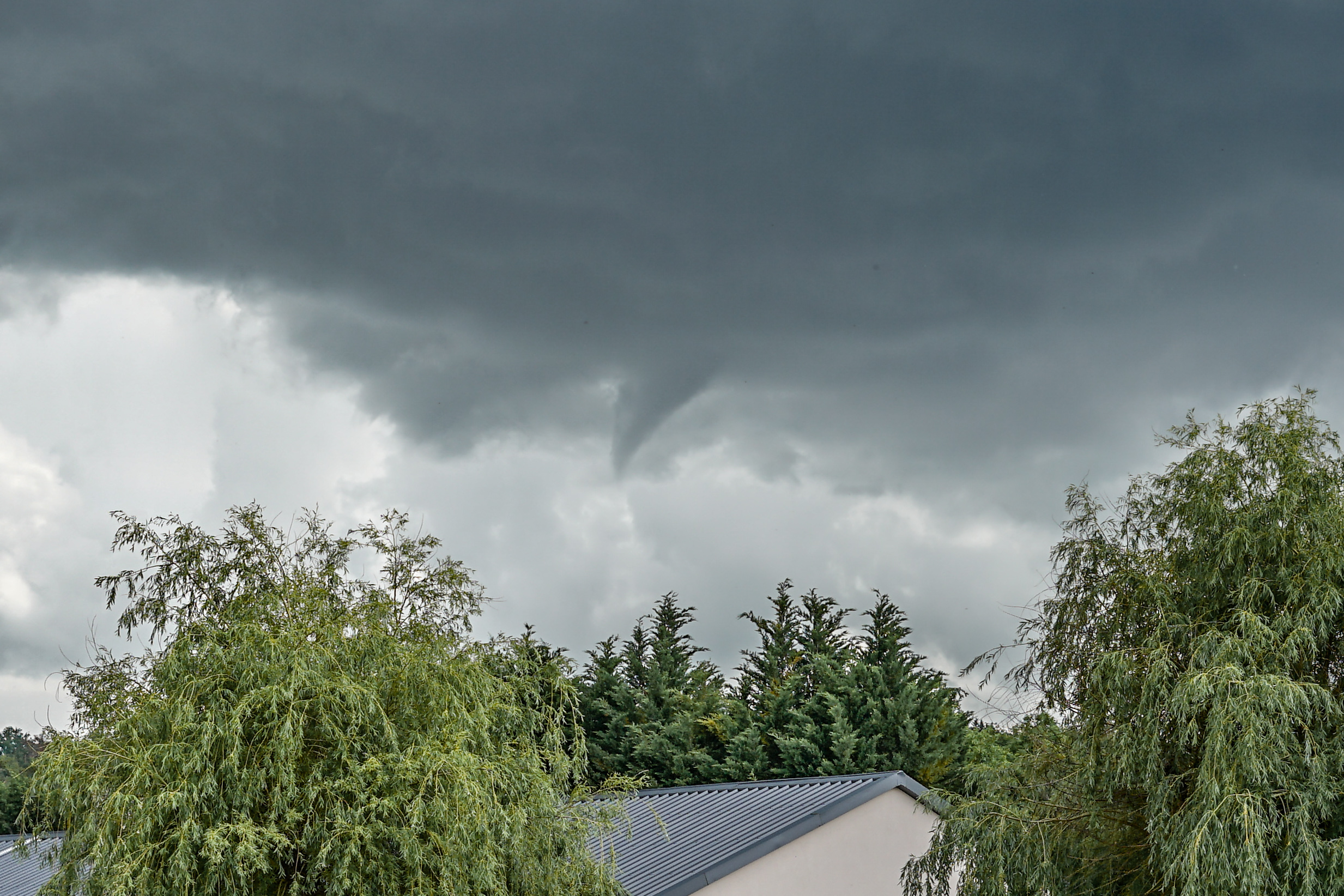 Tuba de petite taille et de courte durée à proximité immédiate des monts du Lyonnais, photo prise sur la commune de Valeille (42). - 20/05/2024 13:42 - Lony Jouin