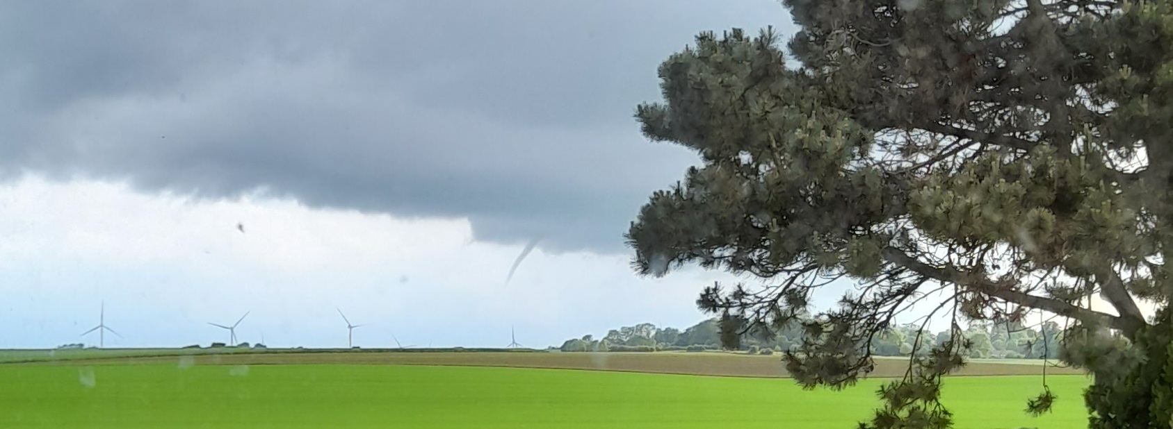 Probablement un debut de tuba. Entre Saint quentin et maretz - 21/05/2024 19:54 - helene deledicque