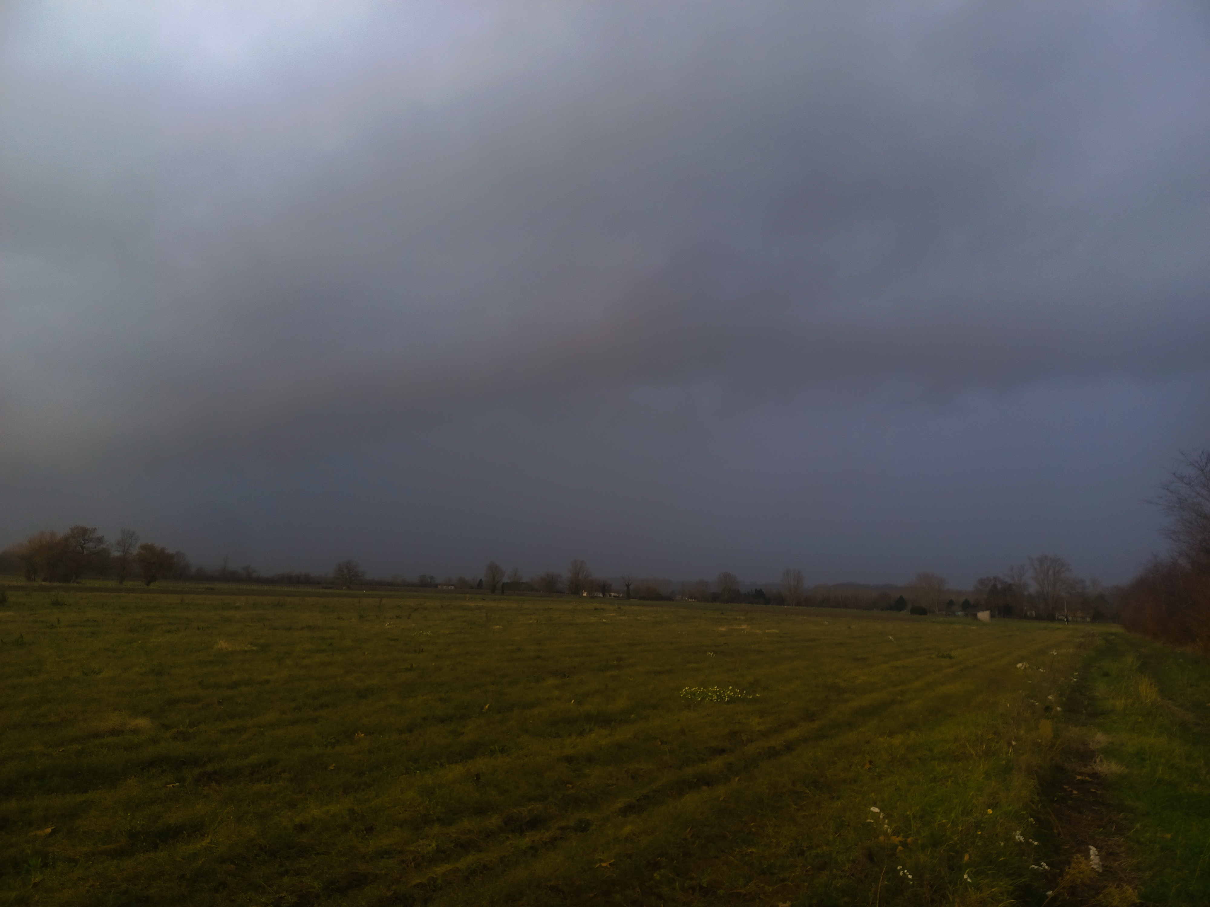 Un arcus dans un ciel de traîne dans la commune de Flaujagues en Gironde cette dernière à provoqué des rafales à 90-100km/h - 22/12/2024 15:34 - Mehddy Greffier