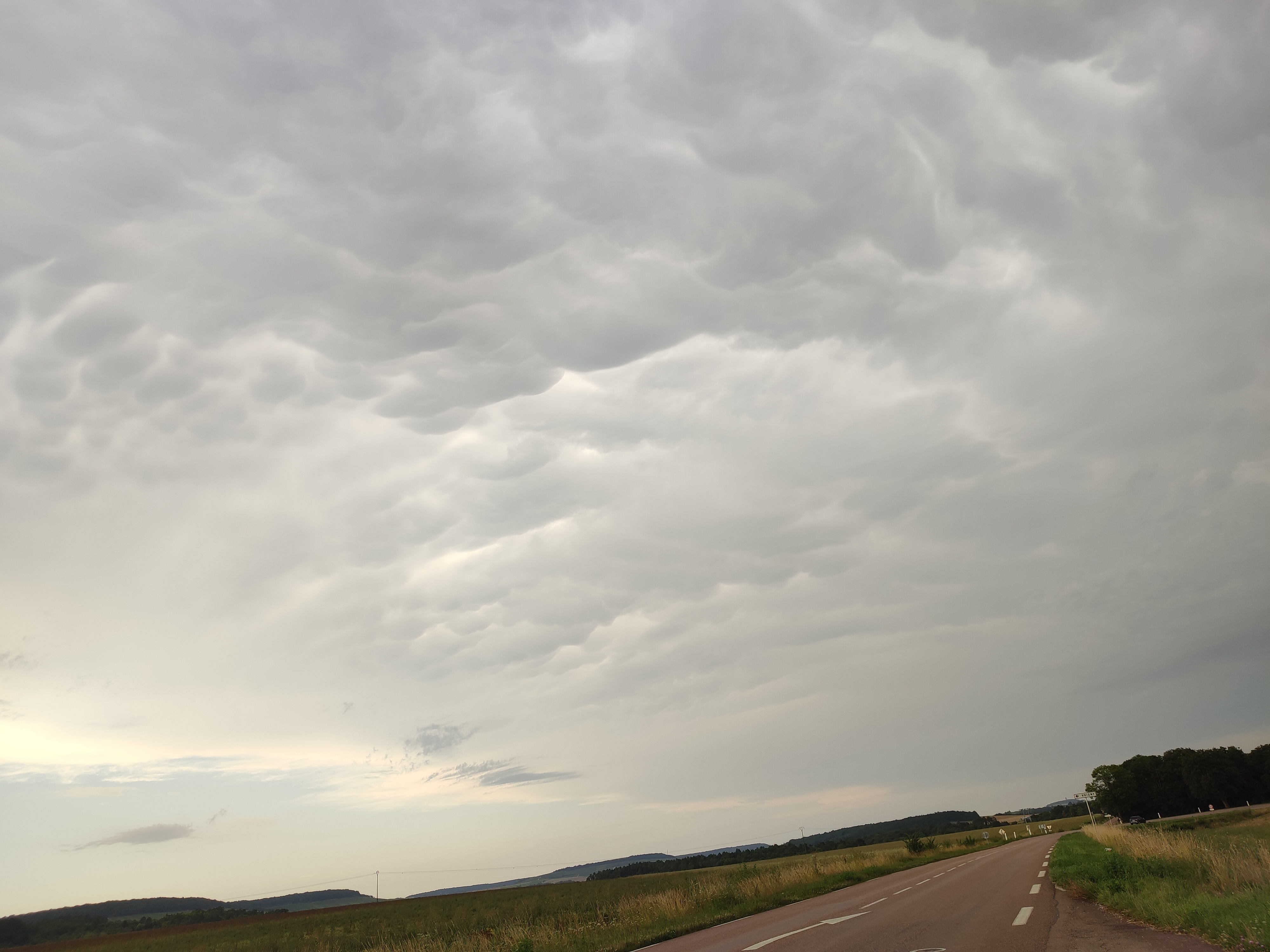 Mamatus ( bar sur aube 10) - 31/07/2024 19:00 - Marie christine Guerin