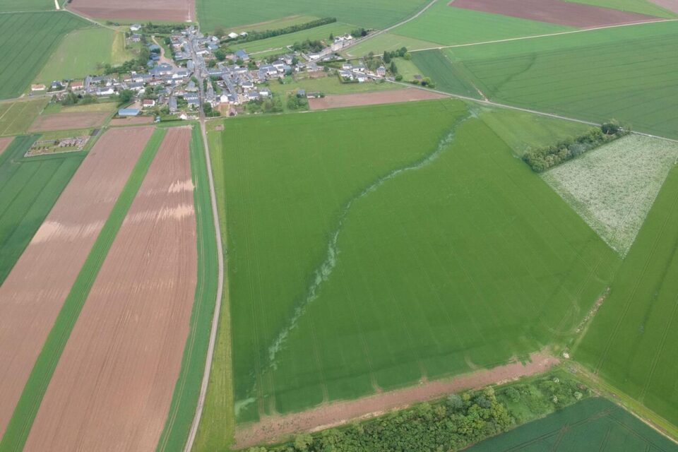 Sillon de 800 mètres de long laissé par la tornade du samedi 18 mai 2024 près d'Orgère-en-Beauce en Eure-et-Loir (Photo prise par Maxime Guiot - Association Météo Centre) - 18/05/2024 16:30 - Sylvain Desmaison